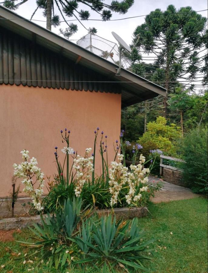 Casa Em - 3 Quartos, Com Churrasqueira