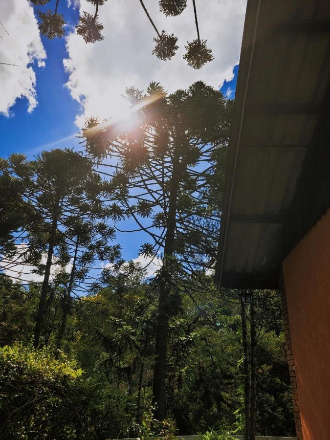 Casa Em - 3 Quartos, Com Churrasqueira *