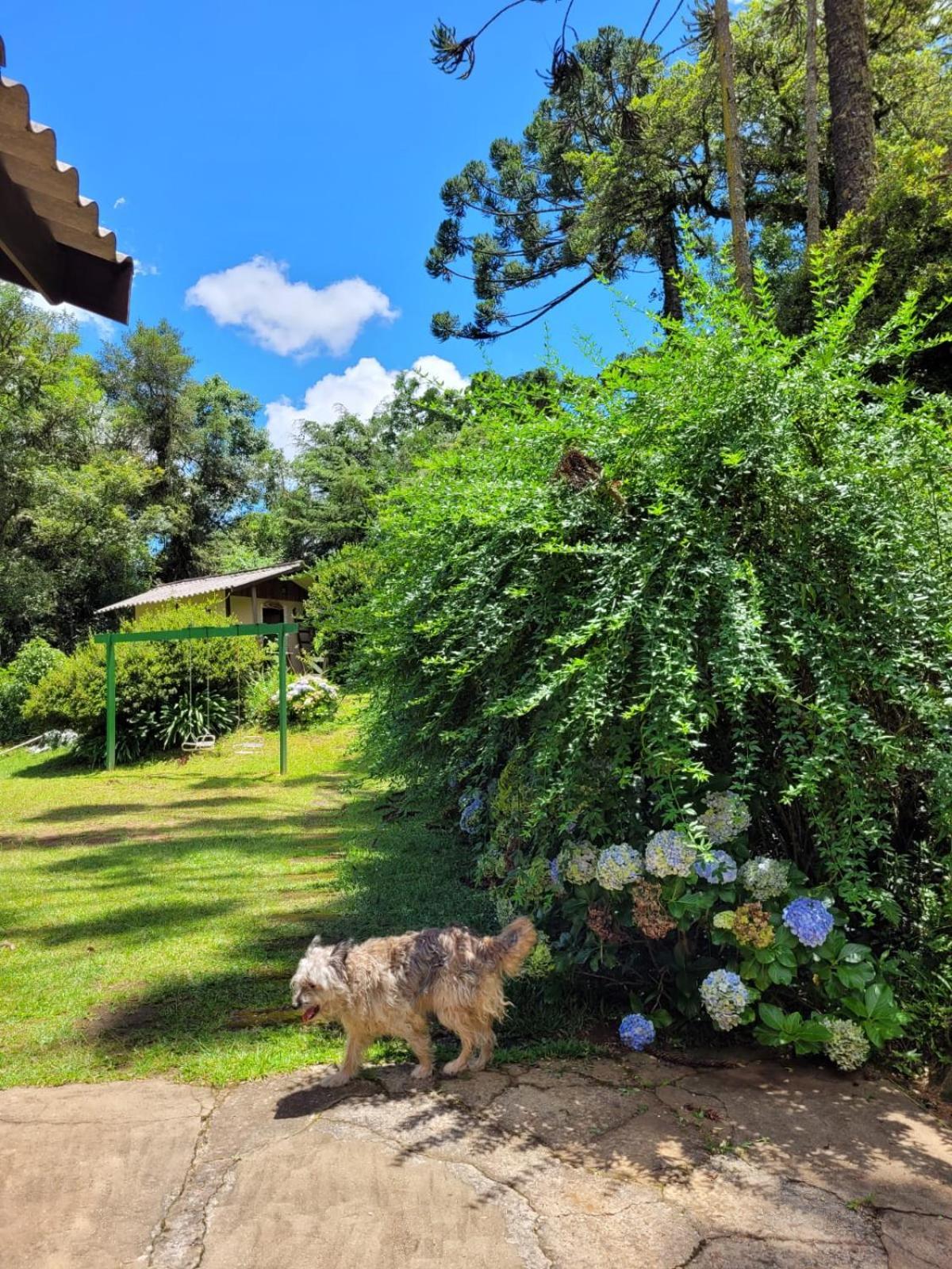 Casa Em - 3 Quartos, Com Churrasqueira
